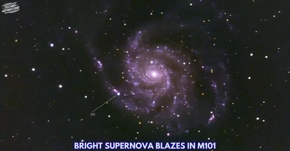 BRIGHT SUPERNOVA BLAZES IN M101