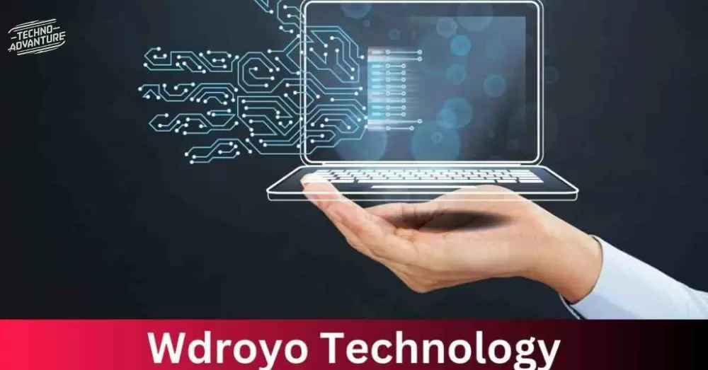 What is Wdroyo Technology?