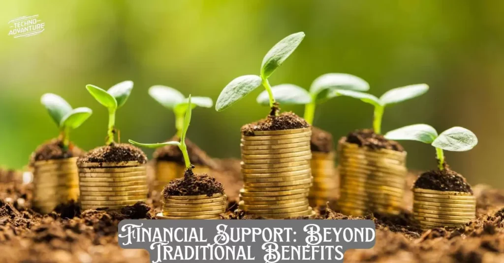 Financial Support: Beyond Traditional Benefits